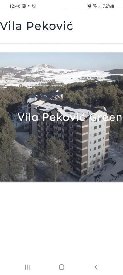 Nemanja In Pekovic Zlatibor